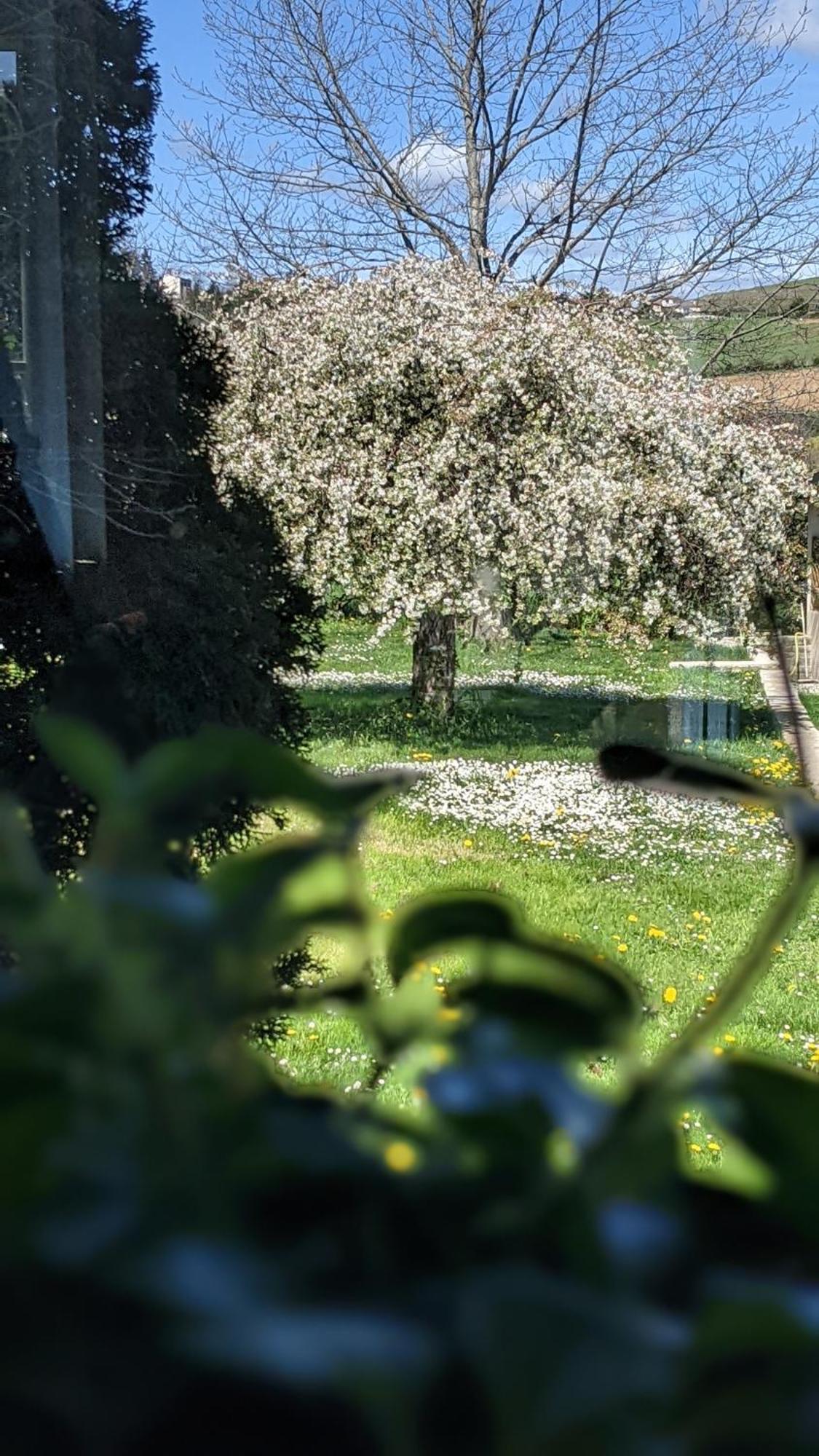 Le Clos Du Perret Chaussan Exteriér fotografie
